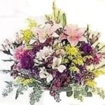 Herevey Bay SDC Flower Power Posey