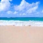 Hervey Bay SDC Beach Back ground