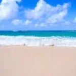 Hervey Bay SDC Beach Back ground